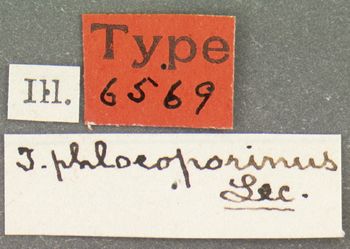 Media type: image; Entomology 6569   Aspect: labels